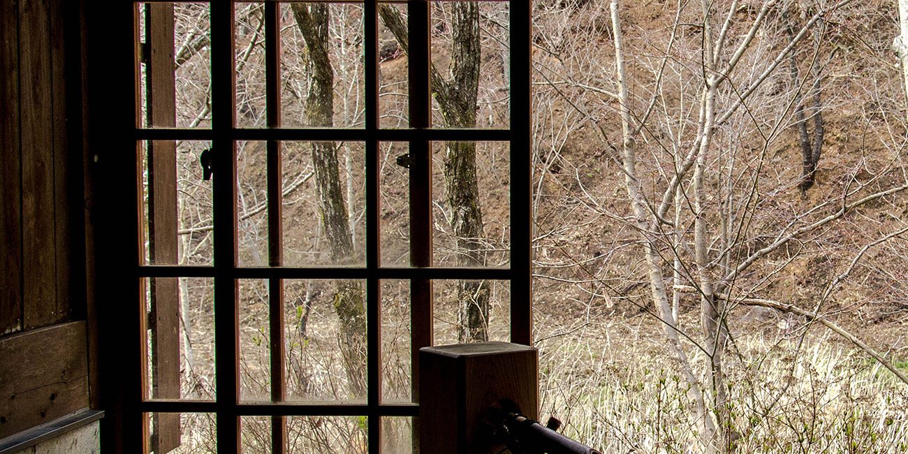 A bird sitting on the edge of an outdoor bath tub.