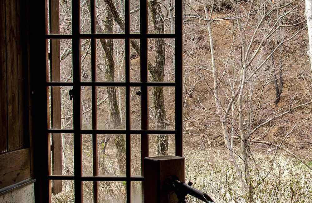 A view of trees from inside the house.